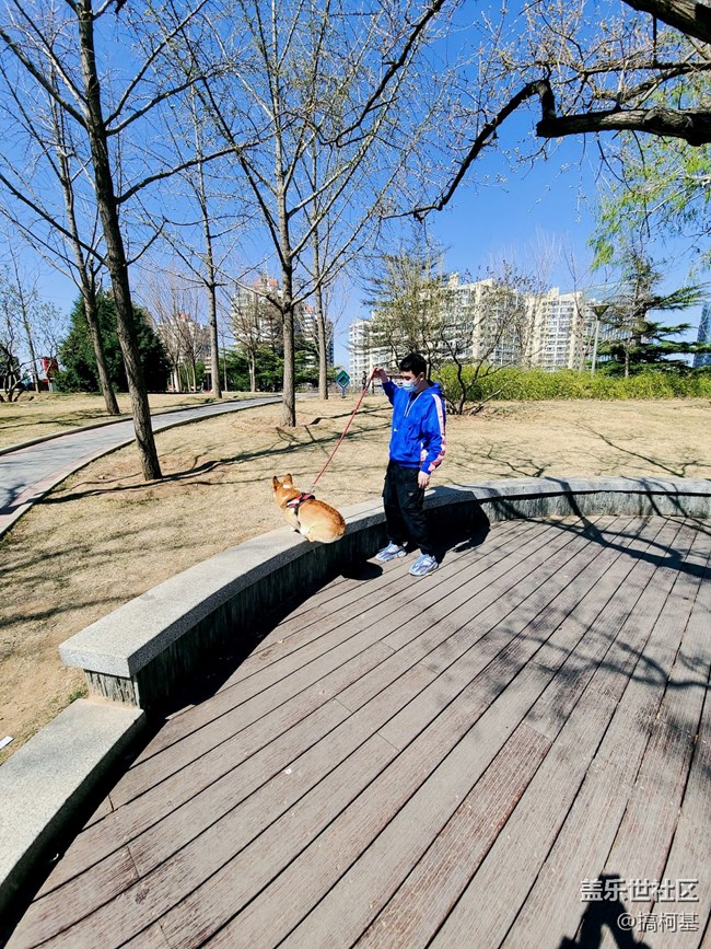 也許和你和抓拍高手之間 只差一個「AI一鍵多拍」