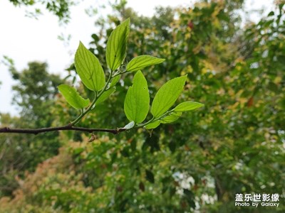 昨天還熱的穿背心短褲，今天就要穿毛衣外套。