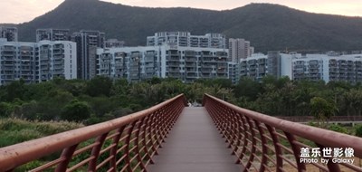 隨手拍