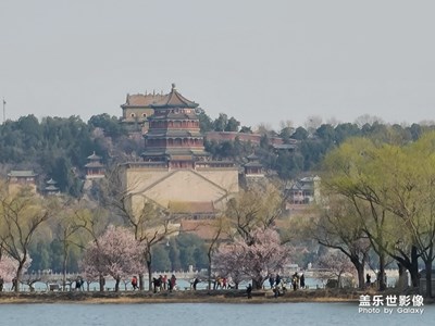 頤和園春意