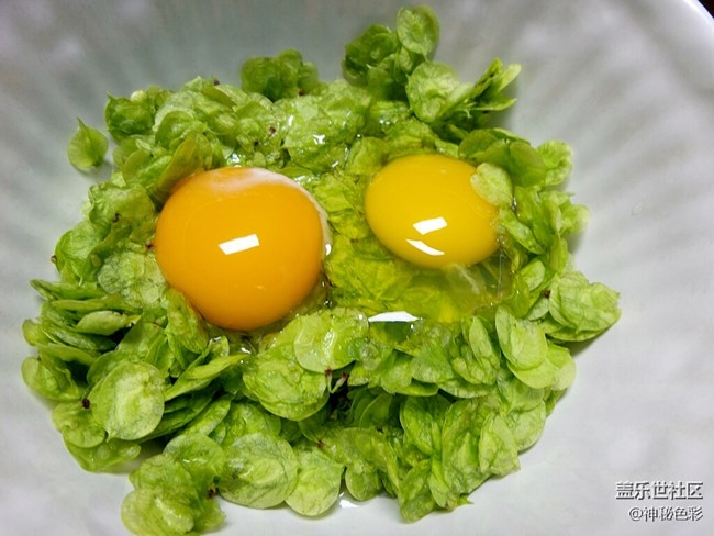 【家鄉(xiāng)味道】 美味榆錢