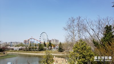 園游會(huì)