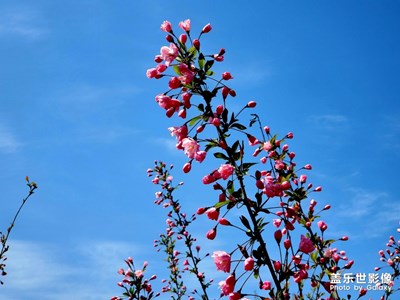 春暖花開