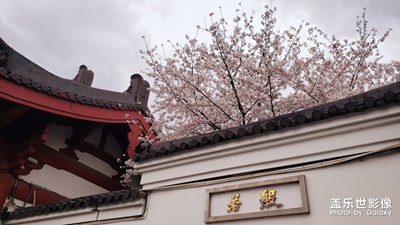 古鎮(zhèn)