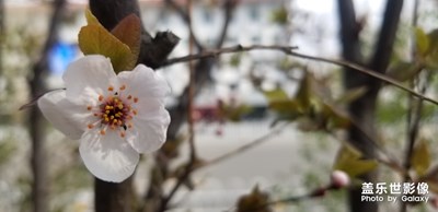 春暖花開，時節(jié)已到。