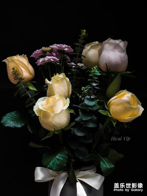 【春花爛漫】+帶有一點光影的花