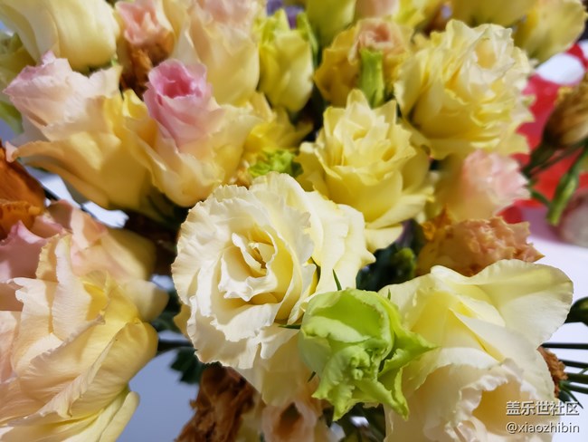 S9+與S20U拍攝對(duì)比