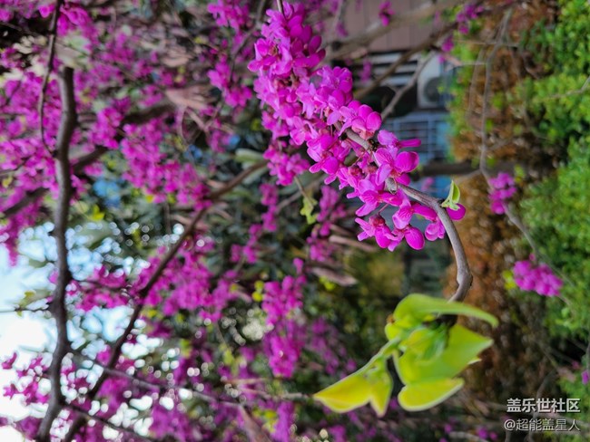 【開箱測評】外表粉嫩，內(nèi)心強大的Galaxy S20