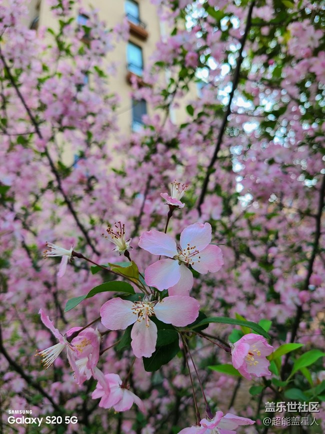 【開箱測評】外表粉嫩，內(nèi)心強大的Galaxy S20