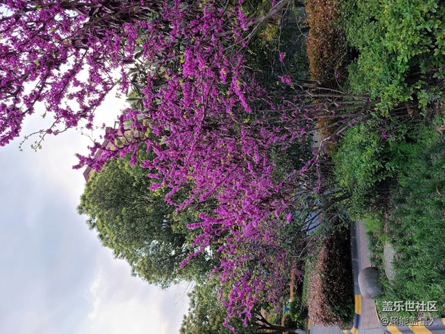 【開箱測評】外表粉嫩，內(nèi)心強大的Galaxy S20