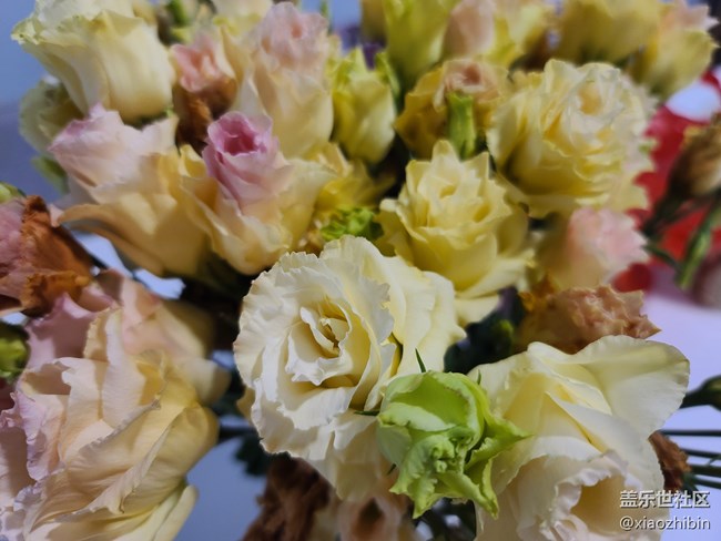 S9+與S20U拍攝對(duì)比