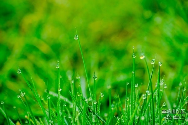 已開獎(jiǎng)【A版塊4月第1周話題活動(dòng)】聊聊你的踏青計(jì)劃