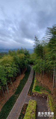 s10+隨手拍