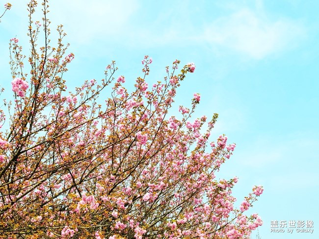 《每周星鮮事》第24期:春暖花開