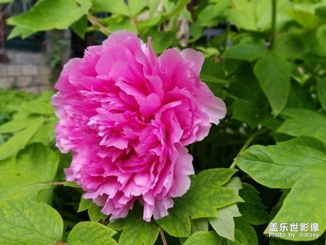 《每周星鮮事》第24期:春暖花開