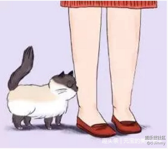 已開獎【寵物活動第二十期】你家主子到底有幾種肢體語言？