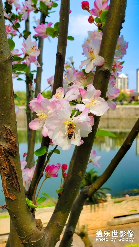 《每周星鮮事》第24期:春暖花開