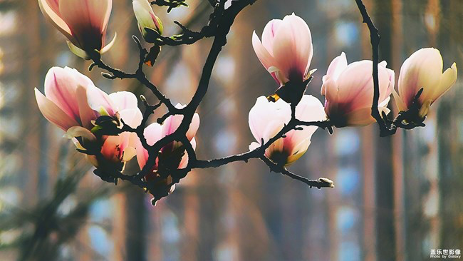 《每周星鮮事》第24期:春暖花開