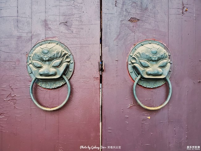 《每周星鮮事》第24期:春暖花開