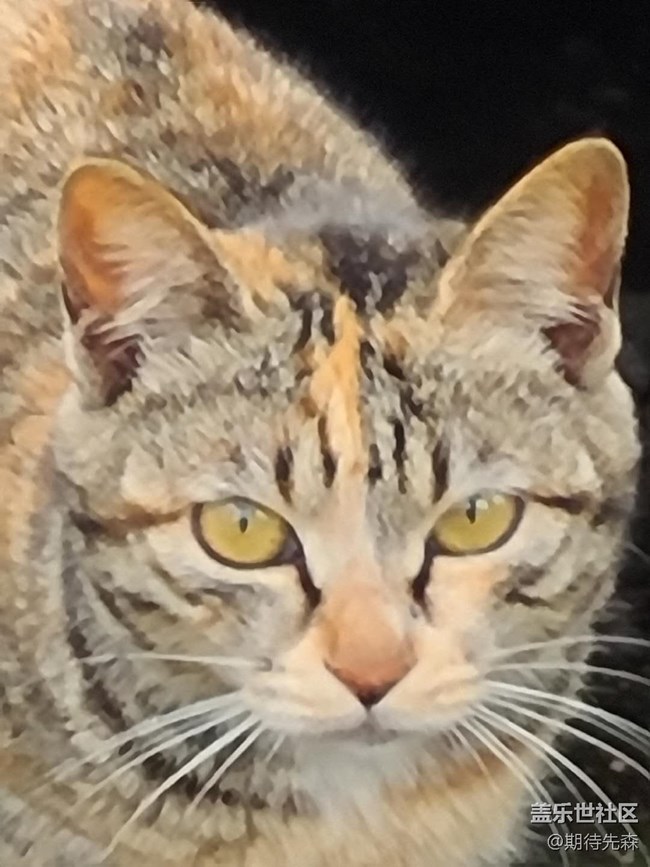 如果給你一臺頂級安卓旗艦手機(jī)