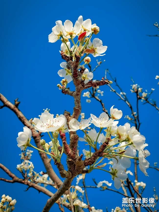 《每周星鮮事》第24期:春暖花開