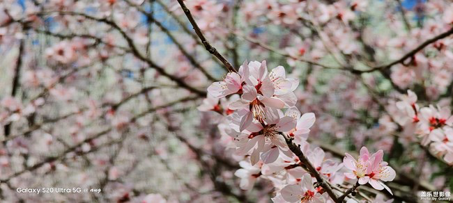 《每周星鮮事》第24期:春暖花開