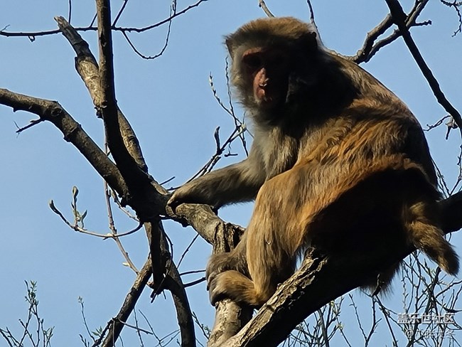 三星S20+，全面的個(gè)人使用感受及購買建議