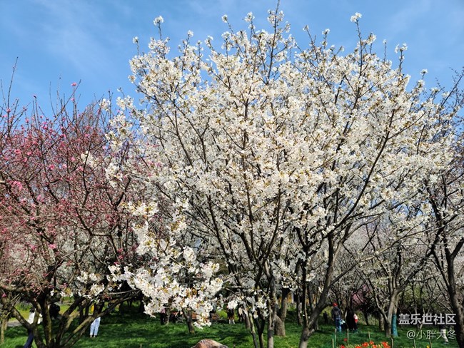 三星S20+，全面的個(gè)人使用感受及購買建議