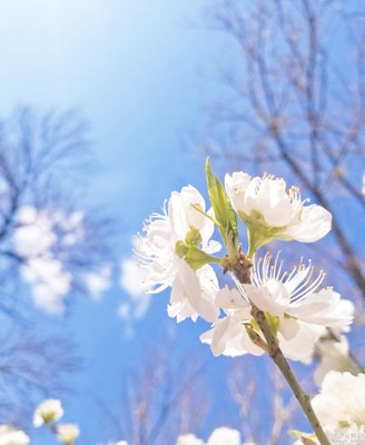 已開(kāi)獎(jiǎng)【蓋樂(lè)世影像周賽第135期】——最美瞬間