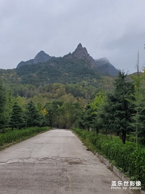 秋已來，