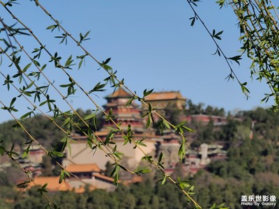 春風(fēng)撫暖綠絲濤