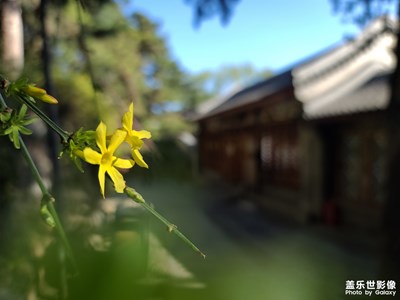 【最美瞬間】+點(diǎn)點(diǎn)黃