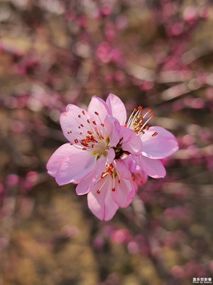 【最美瞬間】+陽光正好