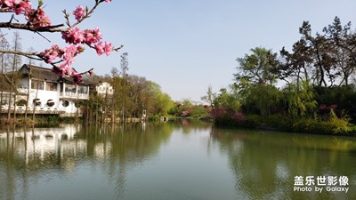 揚州行