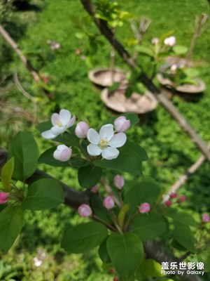 小10