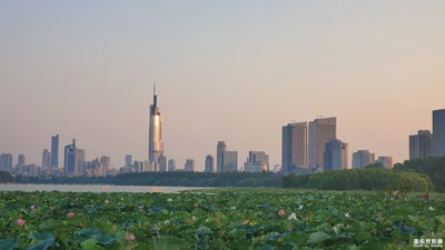 【最美瞬間】+隨手拍遇到的景