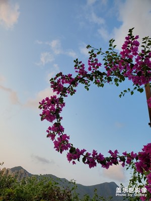 自然花環(huán)