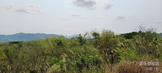 【我身邊的S20系列】一個(gè)普通用戶的使用心得 【我身邊的S20系列】一個(gè)普通用戶的使用心得