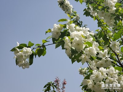 隨拍