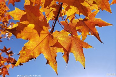 已開獎(jiǎng)【蓋樂世影像周賽第136期】——光影色彩