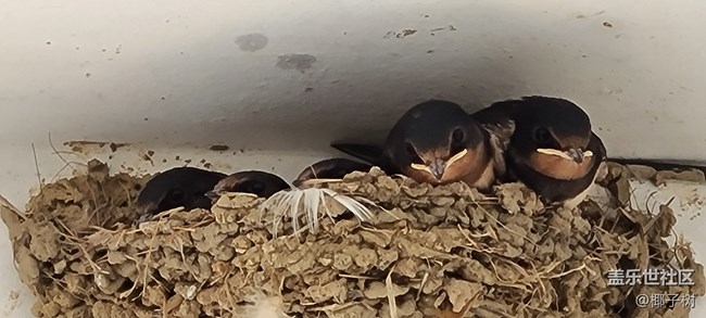 【我身邊的S20系列】一個(gè)普通用戶的使用心得 【我身邊的S20系列】一個(gè)普通用戶的使用心得