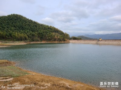 隨手一拍