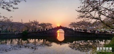 無(wú)靈魂的拍照又來(lái)了