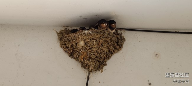 【我身邊的S20系列】一個(gè)普通用戶的使用心得 【我身邊的S20系列】一個(gè)普通用戶的使用心得