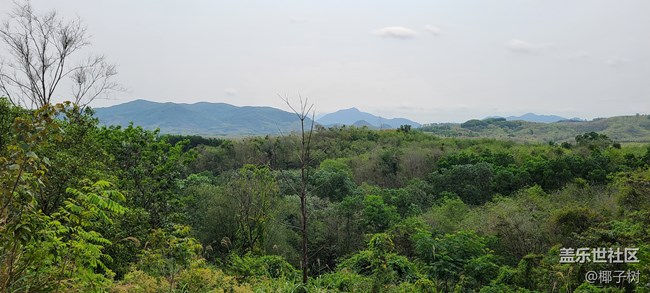 【我身邊的S20系列】一個(gè)普通用戶的使用心得 【我身邊的S20系列】一個(gè)普通用戶的使用心得