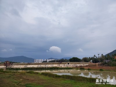 濕地公園