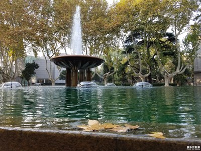 【光影色彩】+佛系隨手拍