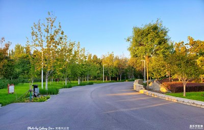 GalaxyS10+ 往日記憶（三） 小路金輝