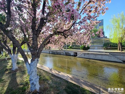海棠花溪景色濃