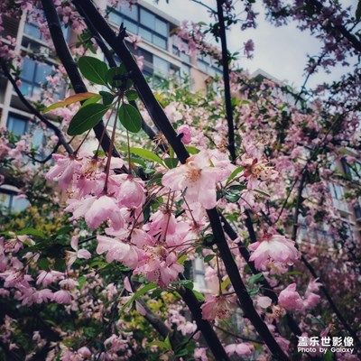 春天應(yīng)該很美好，色彩多多